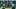 NY Jets NY Jets