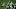 NY Jets NY Jets