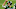 NY Jets, Sam Ficken NY Jets, Sam Ficken