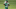 NY Jets, Javelin Guidry NY Jets, Javelin Guidry