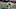 Darnold demostró no ser el jugador que requieren los Jets para figurar Darnold demostró no ser el jugador que requieren los Jets para figurar