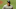 Judge volverá esta semana con los Yankees Judge volverá esta semana con los Yankees