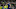 Norwich City v Tottenham Hotspur - Premier League