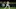 Semien fue uno de los mejores jugadores de Oakland durante la temporada 2019 Semien fue uno de los mejores jugadores de Oakland durante la temporada 2019