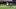 Olimpia v Defensa y Justicia - Copa CONMEBOL Libertadores 2020