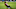 Las grandes actuaciones de De Pinho con el Atlas lo llevaron a la Eredivisie con el PSV Eindhoven