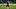 Palmeiras v Botafogo- Brasileirao Series A 2019 Palmeiras v Botafogo- Brasileirao Series A 2019