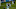 Marquinhos