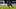 Paris Saint-Germain v Stade Brest - Ligue 1