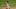 Roman Quinn se estafó 12 bases en 41 partidos jugando para los Filis de Filadelfia en la temporada 2020 de las Grandes Ligas Roman Quinn se estafó 12 bases en 41 partidos jugando para los Filis de Filadelfia en la temporada 2020 de las Grandes Ligas