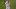 Bryce Harper comanda los jardines de Filadelfia Bryce Harper comanda los jardines de Filadelfia