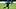 Alan Pulido con el Sporting Kansas City: Quarterfinals - MLS Is Back Tournament