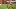 NY Jets, Steven Nelson NY Jets, Steven Nelson