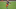 Chubb es una de las piezas más importantes de los Browns hacía el futuro Chubb es una de las piezas más importantes de los Browns hacía el futuro