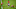 Renato Sanches, Joao Moutinho, Emre Can, Danilo Pereira