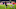 RB Salzburg v Atletico Madrid: Group A - UEFA Champions League