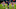 RB Salzburg v Atletico Madrid: Group A - UEFA Champions League