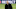 Zinedine Zidane