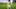 Toni Kroos