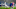 N'Golo Kante, Eder Militao