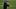 Thomas Tuchel Thomas Tuchel
