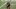 NY Jets, Michael Carter NY Jets, Michael Carter