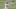 NY Jets, Hamsah Nasirildeen NY Jets, Hamsah Nasirildeen