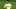 Costa has asked to leave in January