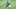 SSC Napoli, Aquila, Castel Di Sangro - Pre-Season Tournament