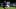 SSC Napoli v Real Sociedad: Group F - UEFA Europa League SSC Napoli v Real Sociedad: Group F - UEFA Europa League