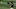 Jurickson Profar Jurickson Profar