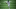 NY Jets, Blessuan Austin NY Jets, Blessuan Austin