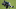 NY Jets, Nickell Robey-Coleman NY Jets, Nickell Robey-Coleman