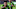 Seattle Sounders v Los Angeles FC - Western Conference Finals