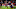 Sheffield United v AFC Bournemouth  - Premier League