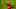 Max Scherzer Max Scherzer