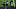 NY Jets, Chris Herndon NY Jets, Chris Herndon