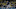 Tampa Bay Rays v Los Angeles Dodgers Tampa Bay Rays v Los Angeles Dodgers