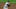 Gio Urshela Gio Urshela