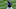 Diego Castillo tiene cuatro juegos salvados en lo que va de temporada 2021 de las Grandes Ligas con los Rays de Tampa Bay Diego Castillo tiene cuatro juegos salvados en lo que va de temporada 2021 de las Grandes Ligas con los Rays de Tampa Bay
