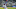 Isiah Kiner-Falefa bateó cuatro extrabases esta semana Isiah Kiner-Falefa bateó cuatro extrabases esta semana