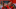 Toluca v America - Torneo Apertura 2019 Liga MX