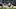 Declan Rice, Harry Kane, Pablo Fornals Declan Rice, Harry Kane, Pablo Fornals