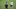 Dier dominated the duel with Michail Antonio