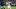 Vancouver Whitecaps v Los Angeles Galaxy Vancouver Whitecaps v Los Angeles Galaxy