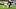 SVW vs. WOB, oder auch: Bremen gegen sich selbst SVW vs. WOB, oder auch: Bremen gegen sich selbst