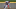 Trea Turner tiene 11 errores como campocorto de los Nacionales de Washington en un total de 793.2 innings jugados este año Trea Turner tiene 11 errores como campocorto de los Nacionales de Washington en un total de 793.2 innings jugados este año