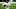 El talento de Trubisky se ve opacado por su poca consistencia en Chicago El talento de Trubisky se ve opacado por su poca consistencia en Chicago