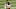 ¿Será el tercer cubano que gana el MVP? ¿Será el tercer cubano que gana el MVP?