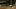 Houston Astros C Houston Astros C
